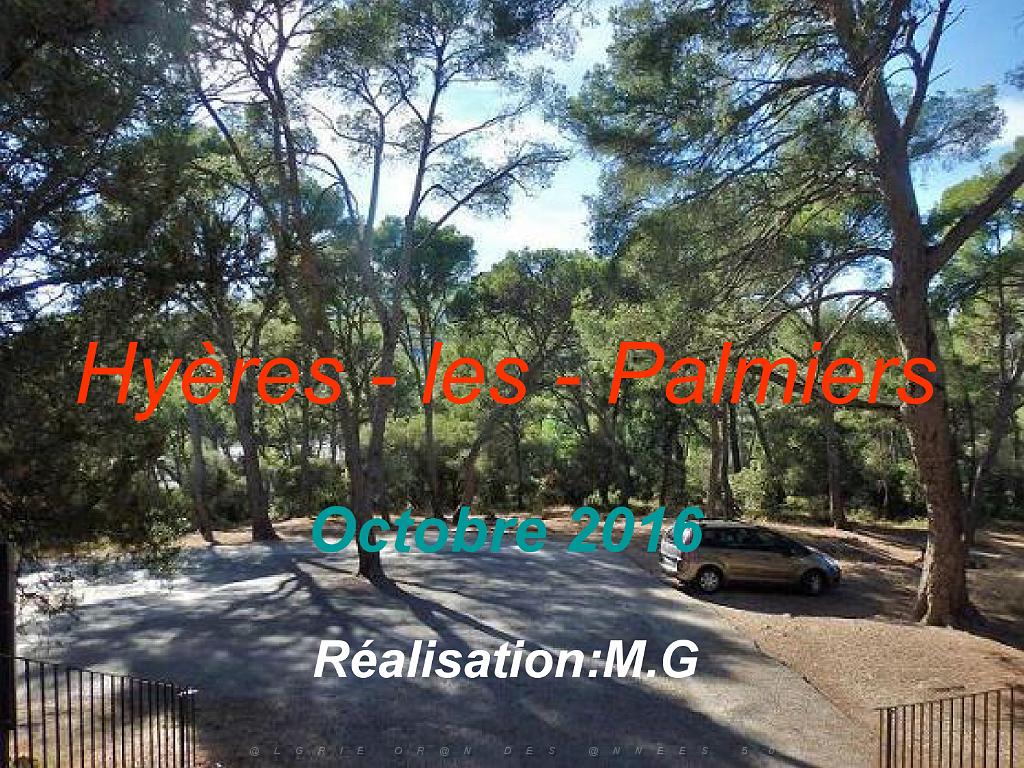 183 HYERES ET SES PALMIERS D15_000001.jpg